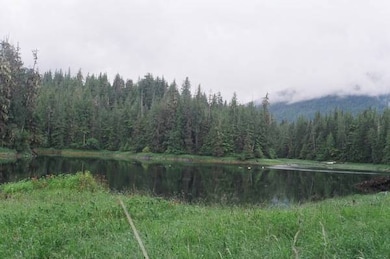 Lot 5 Thom's Place unit 1 Block 4, Wrangell, AK 99929 - photo 6