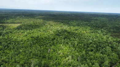dji_fly_20250521_103002_936_174784173443