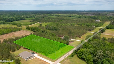 Lot 51-4b