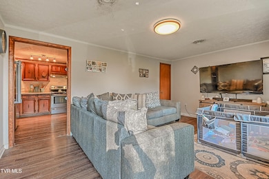 255 Locust Hill Dr, Bristol, VA 24201 - photo 5