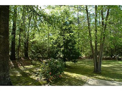 Land/Lot. Lush green.  Beautiful!