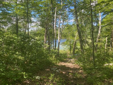 XXX Pot o Gold Rd, Oakland, WI 54830 - photo 3