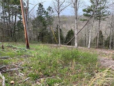 6 Little Dr, Bella Vista, AR 72715 - photo 3