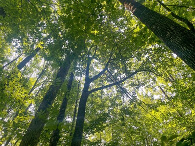 4 Millie Rd, Tomahawk, WI 54487 - photo 5