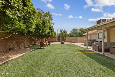 2 - Turf Backyard Facing East Ivyglen