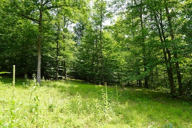 X Brown Hill Rd, Washington Township, IN 47448 - photo 3