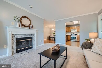 2 Tyler Falls Ct unit J, Baltimore, MD 21209 - photo 5