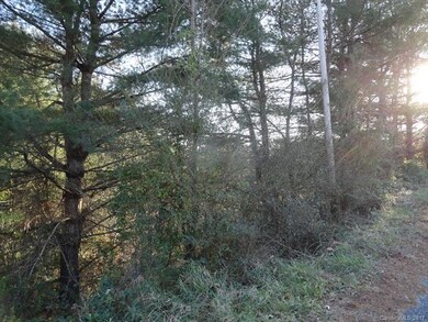 Remove just a few trees and open the view