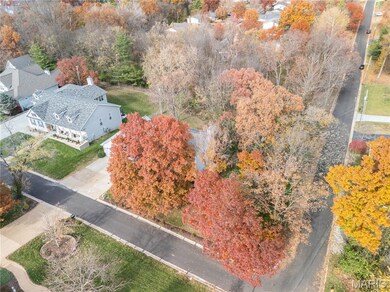 Drone / aerial view of a tree filled landscape
