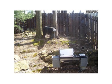 Perfect grilling location off the sunroom