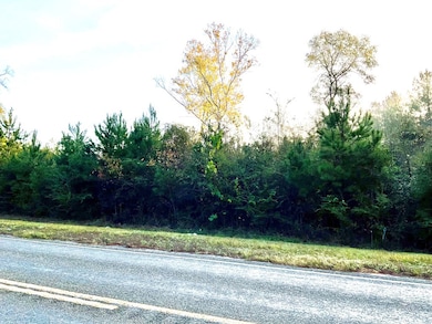 000 Highway 92, Spurger, TX 77660 - photo 3