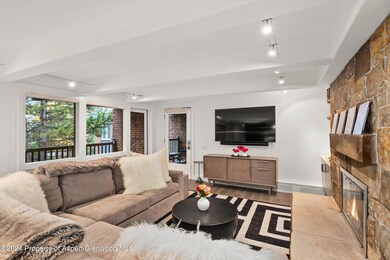 124 W Hyman Ave unit 3D, Aspen, CO 81611 - photo 2