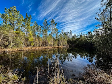 0 Dap Rd E, Big Point, MS 39562 - photo 4