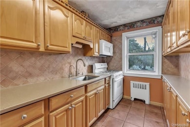 White Oak Cooperative Housing unit 2A, New Rochelle, NY 10801 - photo 6