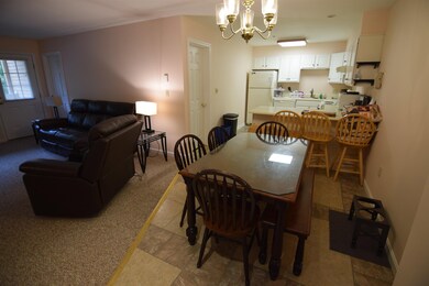 227 Main St unit 209, Lincoln, NH 03251 - photo 3
