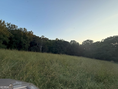 9 W L Williams Rd, Commerce, GA 30530 - photo 3