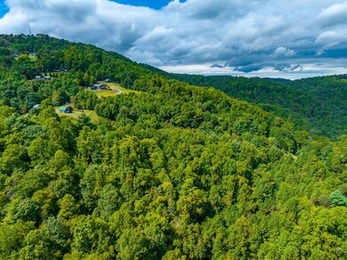 18 Lots Covered Bridge Trail, Fancy Gap, VA 24328 - photo 7