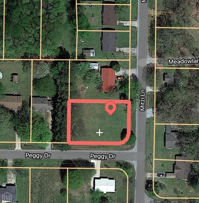 0 Mitzi Ln unit 10096593, Jonesboro, AR 72401 - photo 6