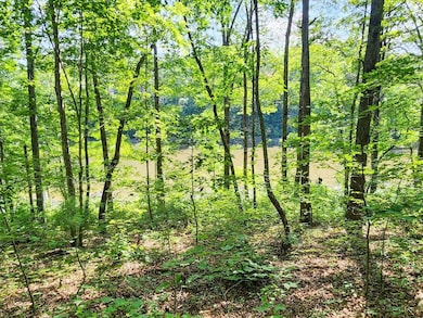 0 Helenwood Loop Rd unit 24289292, Helenwood, TN 37755 - photo 2