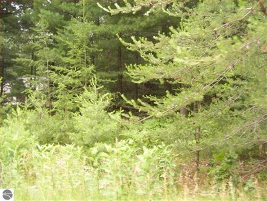 N/A Huron Breeze Drive Lot 47 unit 47, Au Gres, MI 48703 - photo 5