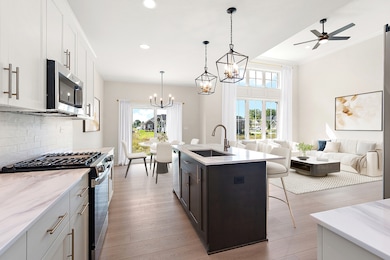 12193 Curragh Meadow Way, Lemont, IL 60439 - photo 5