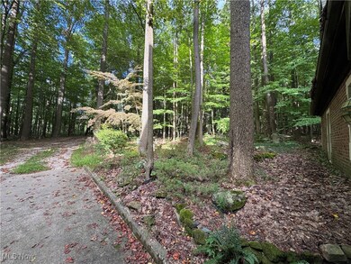 1310 Connecticut Woods Dr, Hudson, OH 44236 - photo 6