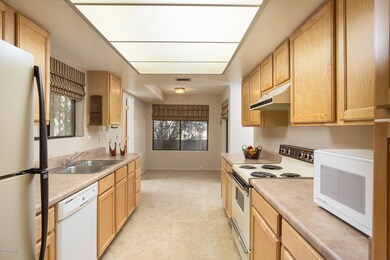 5110 N Camino Del Lazo, Tucson, AZ 85750 - photo 4