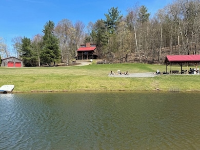 266 Dolan Rd, Wyalusing, PA 18853 - photo 3