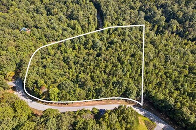 3.99 AC Sweetwater Dr, Clarkesville, GA 30523 - photo 5