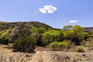 0 unit 1890104, Medina, TX 78055 - photo 5