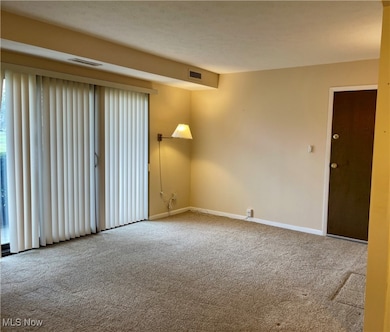 16390 Heather Ln unit 104, Middleburg Heights, OH 44130 - photo 4