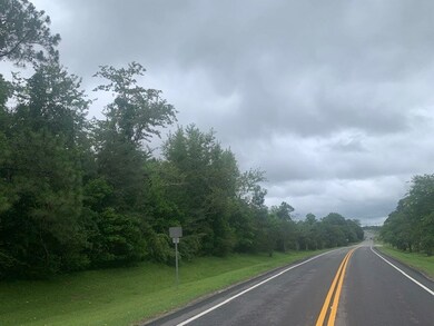 0 King Rd unit 132709, Tifton, GA 31793 - photo 4