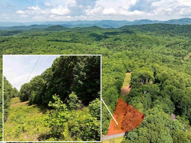 67 Wildflower Ln, Travelers Rest, SC 29690 - photo 5