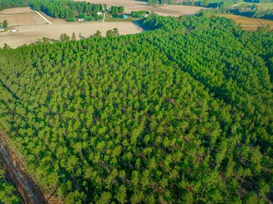 Hwy 45, Loris, SC 29569 - photo 6