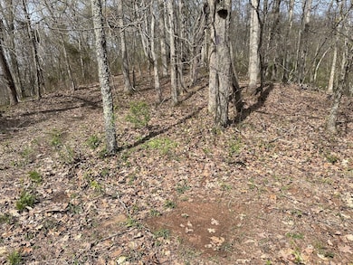 0 Chesterville Rd unit Lot WP001 23687476, Mineral Wells, WV 26150 - photo 3