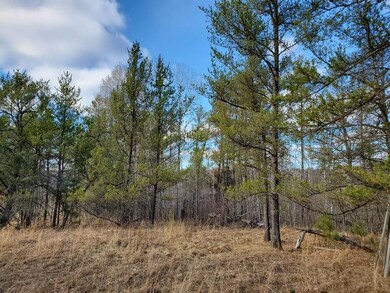 27548 S River Rd, Webb Lake, WI 54830 - photo 3