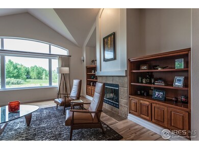 Gas fireplace and built-ins.