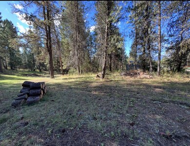 1909 Gold Dust Rd unit 60, Cascade, ID 83611 - photo 7