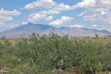 The Rincon Mountains