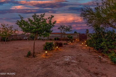 38 - Golden Cactus Twilight