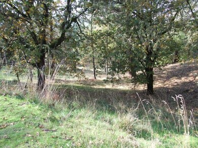 unlisted-address, Rogue River, OR 97537 - photo 7