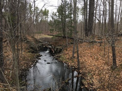 0 0 Spring Benson Rd unit 1489237, Newfield, ME 04095 - photo 4