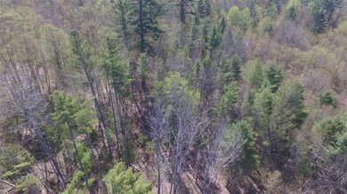 2 Crepeault Hill Rd unit 2, Saint Johnsbury, VT 05819 - photo 3