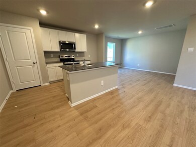 1256 Wilkins Valley St, Brenham, TX 77833 - photo 6