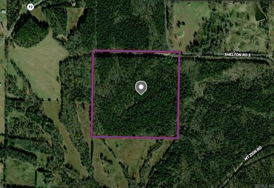 000 S Shelton Rd, Bee Branch, AR 72013 - photo 6