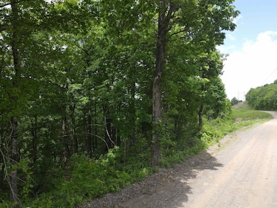 TBD Lick Fork Rd, Witt Springs, AR 72686 - photo 4