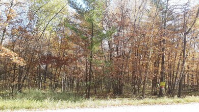 Lot 27 Block 7 Oak Dr, Moran Township, MN 56438 - photo 7