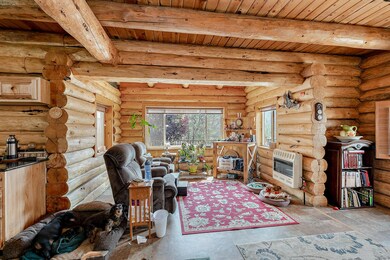 41_KFD05203_mls