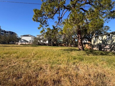 6813 S Faul St, Tampa, FL 33616 - photo 4