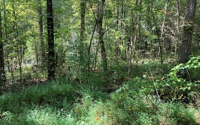 11 Mountain View Trail, Murphy, NC 28906 - photo 6